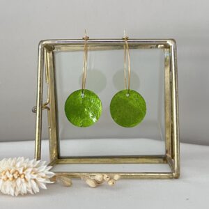 677-Mon-Couleur-sieraden-by-Alinde-rond-schelp-groot-mosgroene-groene-oorbellen_gouden-rvs-oorringen-creolen